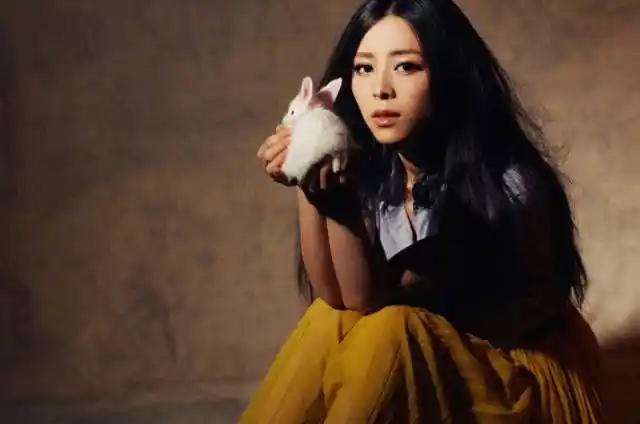 张柏芝  张静初  张韶涵张碧晨 张靓颖_娱乐圈张姓女明星