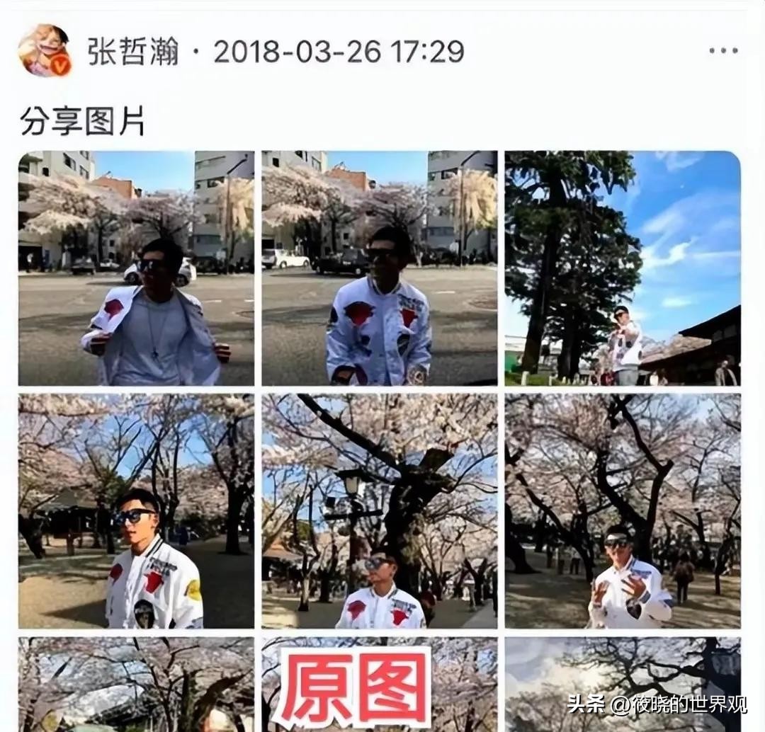 赵薇现在还在娱乐圈吗_赵薇被封杀原因分析_赵薇小燕子近况